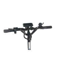 Dualtron Spider Max 60V