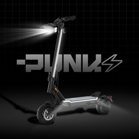 Punk Roamer Pro double moteurs  48V-18Ah