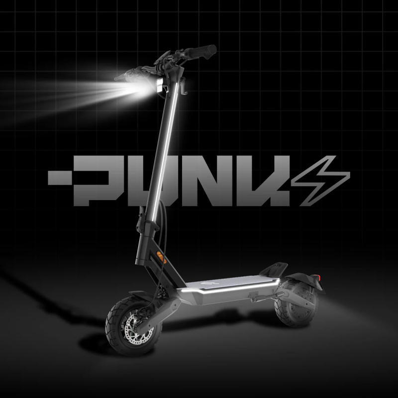 Punk Roamer Pro double moteurs  48V-18Ah
