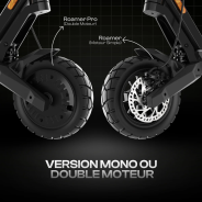 Punk Roamer Pro double moteurs  48V-18Ah