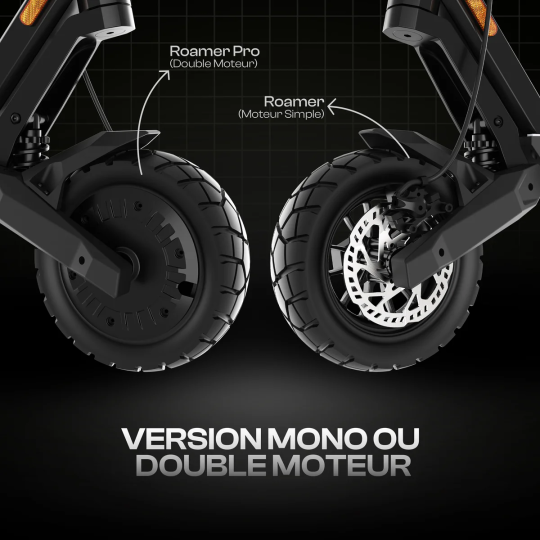 Punk Roamer Pro double moteurs  48V-18Ah